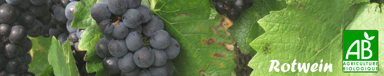 Rotwein